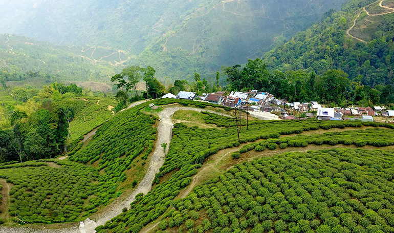 North East Package Bagdogra
