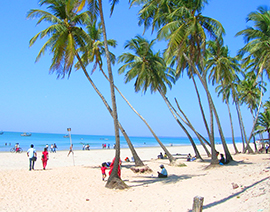 goa Packages