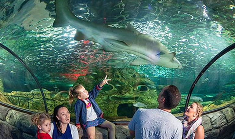 Australia with New ZeaLand Combo tour packages