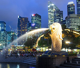 Singapore Delight