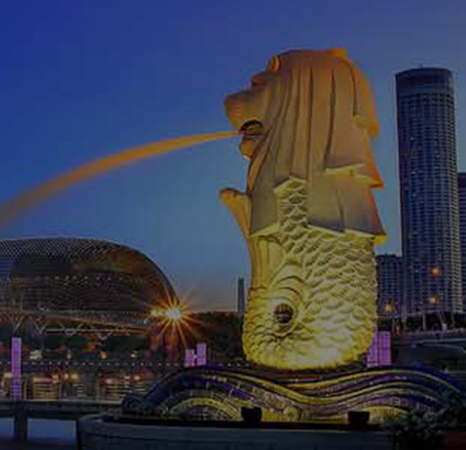 thewowtrips - Tour and Travel Agency